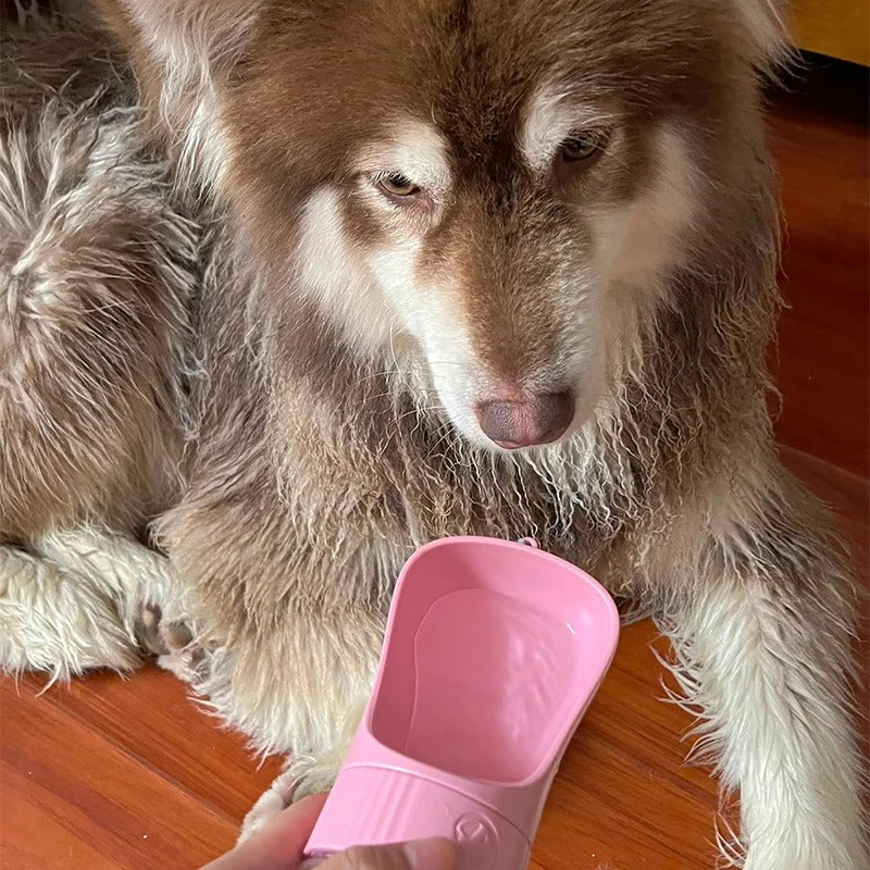 2-in-1 Pet Travel Bottle