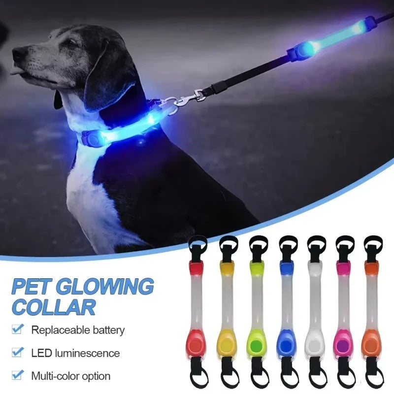 LED Pet Safety Light