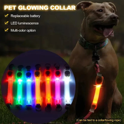 LED Pet Safety Light
