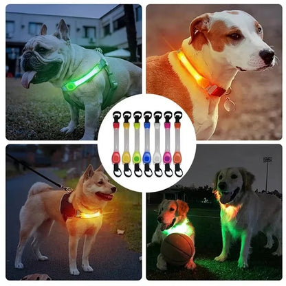 LED Pet Safety Light