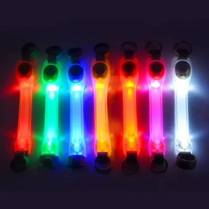 LED Pet Safety Light