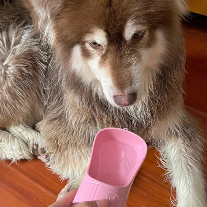 2-in-1 Pet Travel Bottle